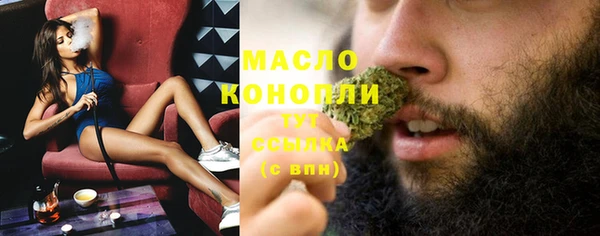 индика Струнино