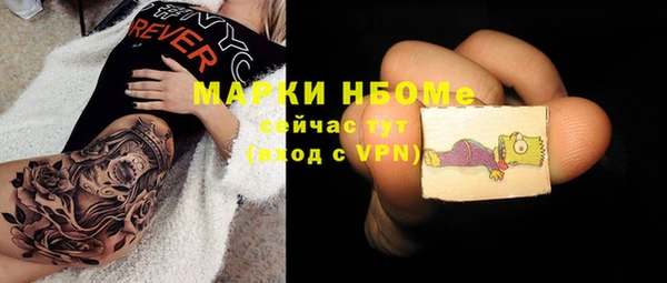 индика Струнино