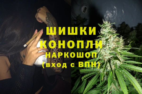 стафф Ступино