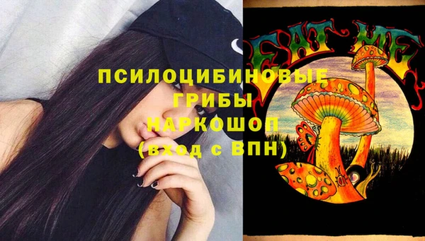 индика Струнино