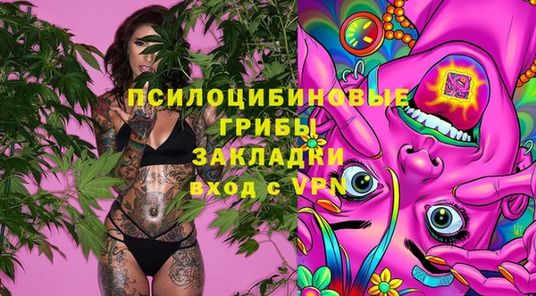 МДПВ Тавда