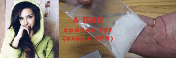индика Струнино