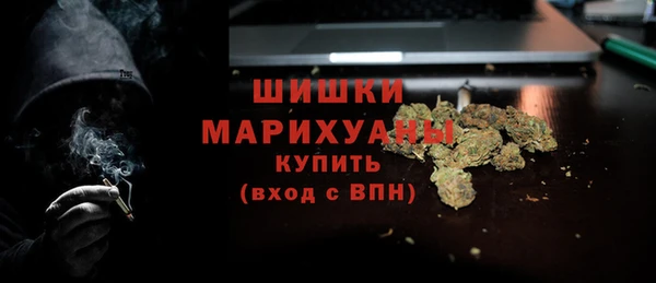 дурь Сясьстрой