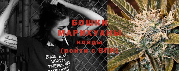 индика Струнино
