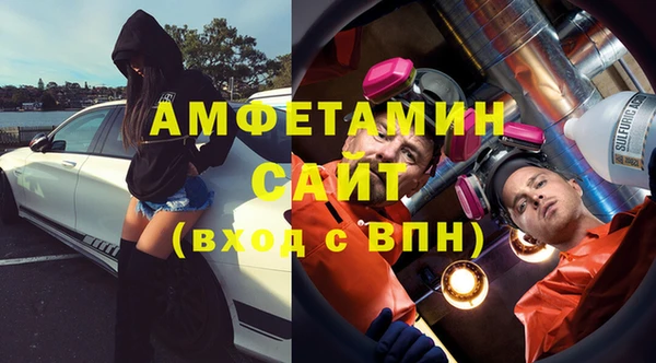 индика Струнино