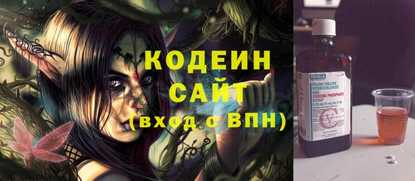 дурь Сясьстрой