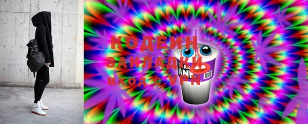 дурь Сясьстрой