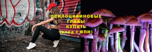 индика Струнино