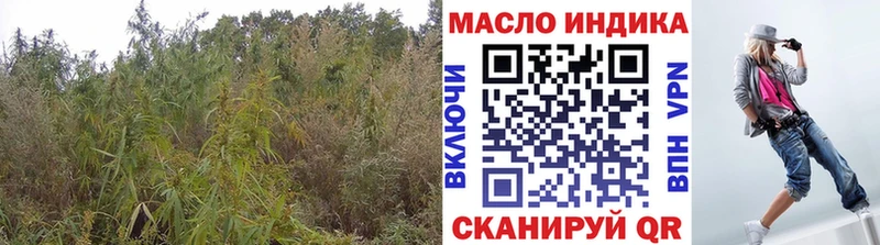 Купить где  Ижевск  Дистиллят ТГК концентрат 