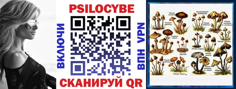 Купить  Ижевск  Галлюциногенные грибы Magic Shrooms 